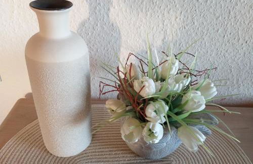 Zwei Ferienwohnungen Ankerpatz 70 qm mit Loggia & Puppenstube 50 qm mit Gartenterrasse in Hagenburg nähe Steinhuder Meer - Foto 47