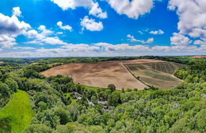 Tresillian Lodge Waterfront, Forest, Hot tub,Sauna - Foto 57