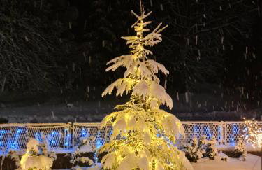 Apartman Denis - Foto 19