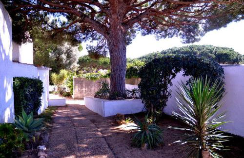 Sailing Studio Açoteias - Foto 35