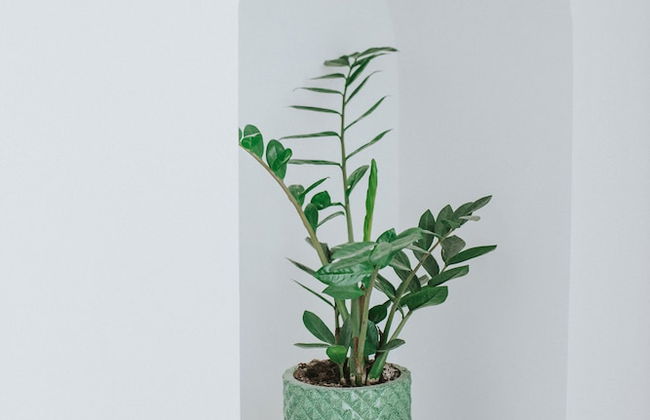 Dona Graca Lisbon Apartments - Foto 70