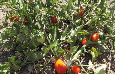 Traditional stone house 1bedroom, sea view, Syros - Foto 18