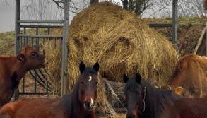 Agriturismo I Leprotti - Photo 2