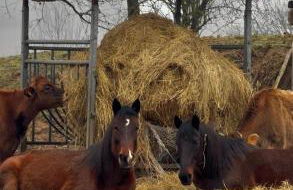 Agriturismo I Leprotti - Photo 2