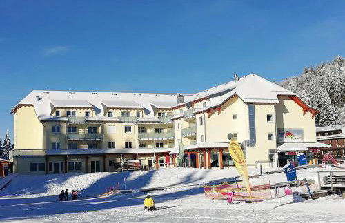 Feldberg Lounge - Residenz Grafenmatt - Foto 21