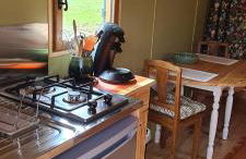 Roulotte à la Ferme Buissonnière - Foto 12