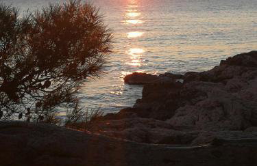 HOUSE Kod dide - Foto 37