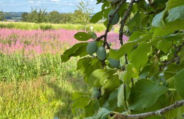 Ferienwohnung Schuhmacherwerkstatt Wilhelm Wendel - Photo 19