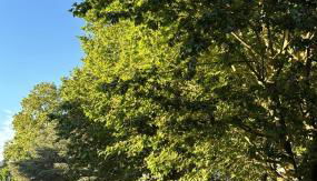 Appartement Cosy - Foto 2