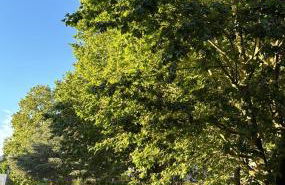 Appartement Cosy - Foto 2