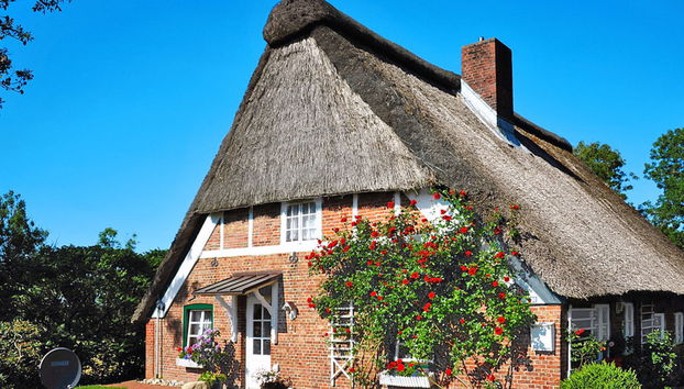 Holiday Home Hennevelt by Interhome - Foto 2, House