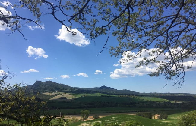 Casa Girasole Agriturismo Le Selvole Tuscany - Foto 24