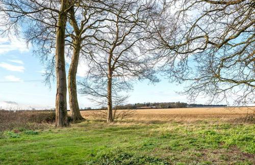 Pinkleton - Photo 24