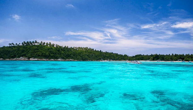 Excursión a Coral Island en lancha rápida - Foto 4