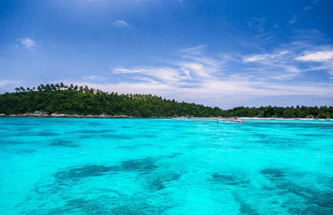 Escursione a Coral Island in motoscafo - Foto 4
