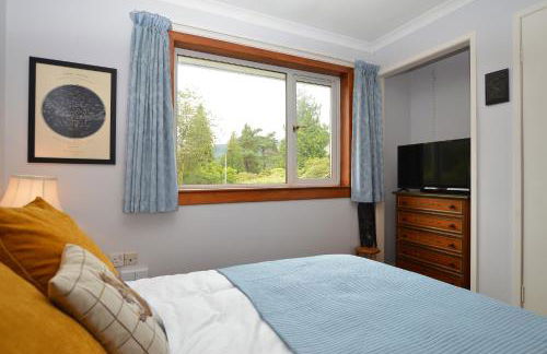 Brookfield - Photo 15