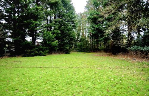 Beautiful cottage in Brentwood - Foto 49