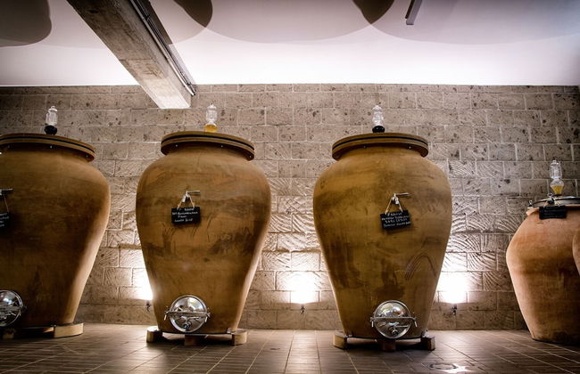 I Cacciagalli - Photo 32