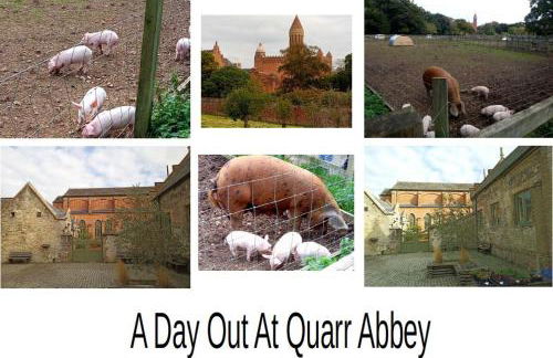 Cosy Cabins at Westfield Farm, Isle of Wight - Photo 75