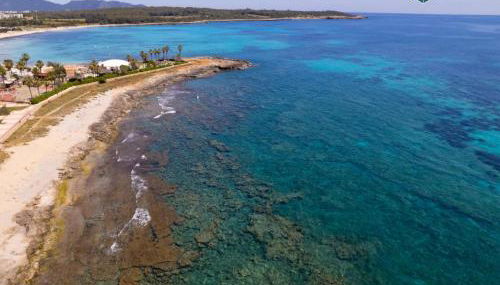 Apto Antic 201 Pax 4 - Foto 5