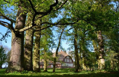 Deichkind - Reetdachhaus direkt am Elbdeich - Foto 30