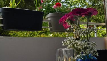 Apartment am Waldrand mit Einzelgarage, Nähe City, Messe & Flughafen - Foto 5