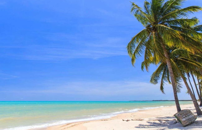 Excursión a la playa de Ipioca - Foto 2