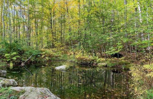 Maine Treehouse-The Spruce Suite - Foto 23