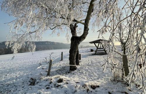 Apartment am Hochwald - Foto 25