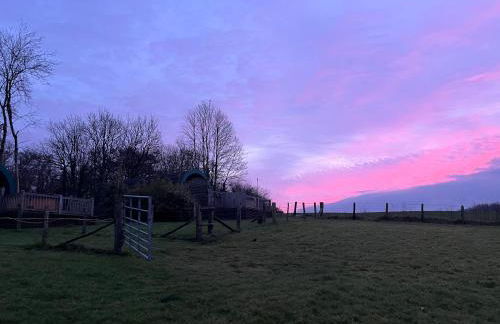 Gelli Barn - Foto 22