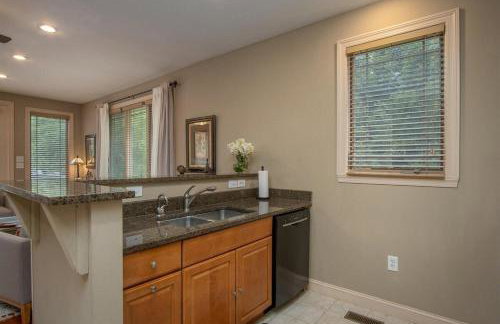 Brevard Basecamp · Brevard Basecamp fireplace in Primary BR - Foto 7