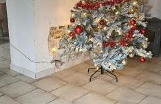 Le Phoenix - gîte 15 personnes parc naturel Vosges Saônoises - Foto 12