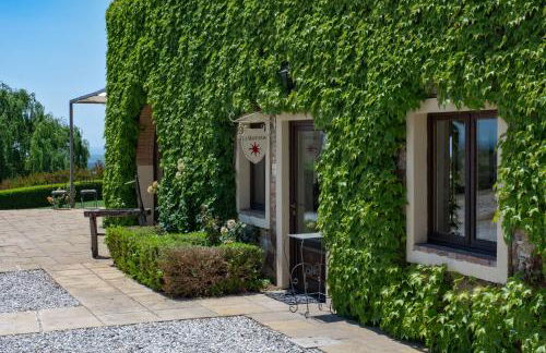 La Marrana - Castello del Terriccio - Foto 15