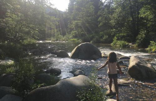 Ferienwohnung Kräutergarten - Foto 22