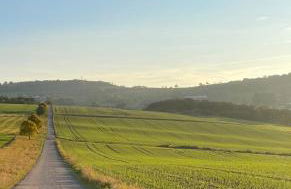 Ferienwohnung Forellenhof - Mitten in der Natur - Foto 36