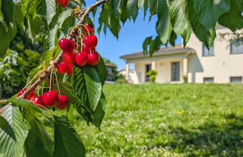 Sakura Villa - Luxury and comfort near Crema - Photo 1