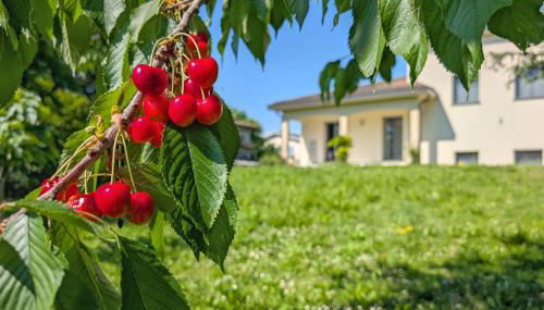 Sakura Villa - Luxury and comfort near Crema - Foto 1