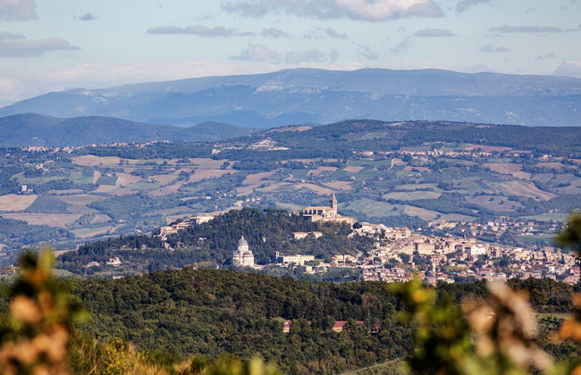 Chalet In Enchanted Forest Private Pool - Photo 19