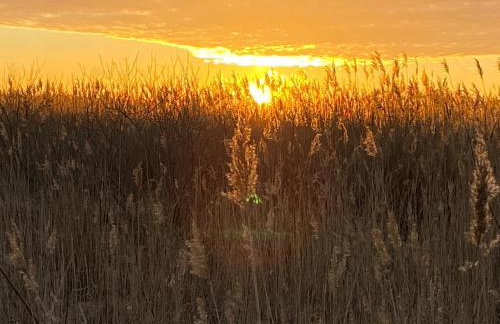 Przystań Szmaragd - Foto 8