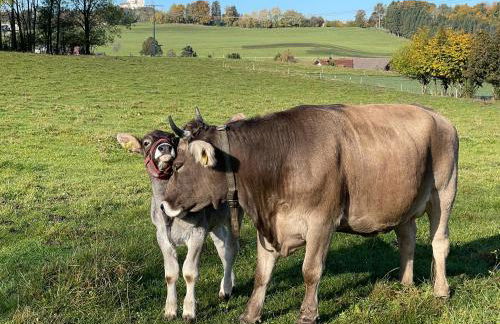 Ferienwohnung Hintermoos - Foto 57