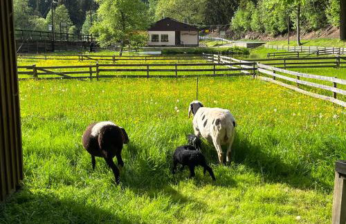 Ferienwohnung Schmalzgrube - Foto 7