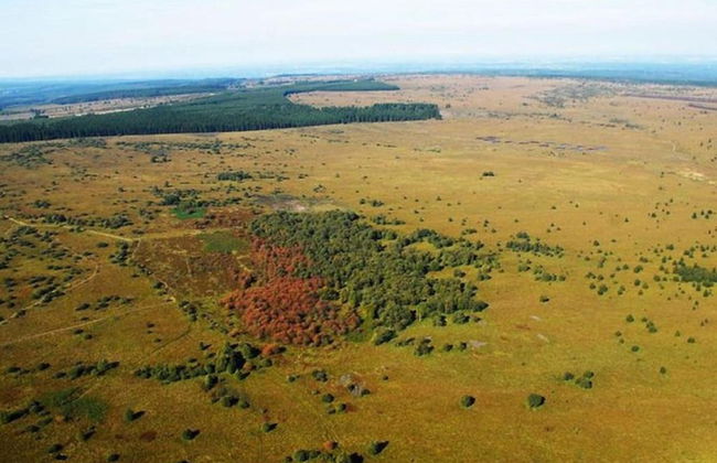 Jalhay Pondside Forest Home - Foto 38