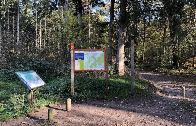 Grandeur Farmhouse in Dwingeloo at a National Park - Foto 58