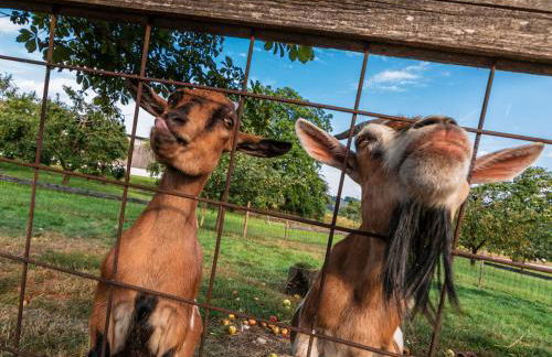 Sailerhof Gramminger - Photo 10