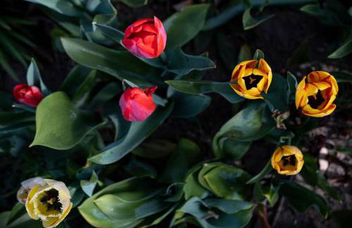 Villa Ladurner - Foto 37