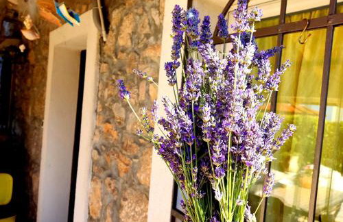 Apartman Pelcic,with WiFi and free parking - Foto 10