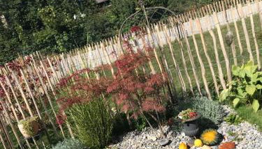 Ferienhaus Albert - Foto 2, Garden