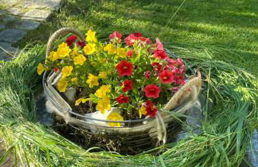 An der Heide. - Foto 41