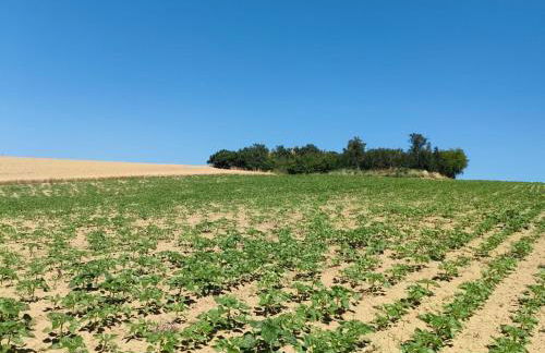 Agriturismo Giorgini - Foto 12