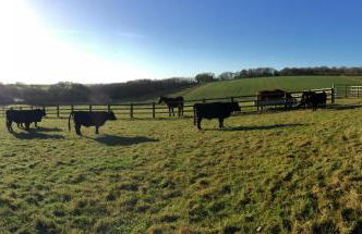 Yellowham Farm, Dorchester - Photo 4